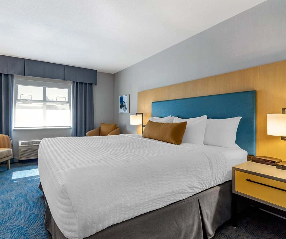 One King Room